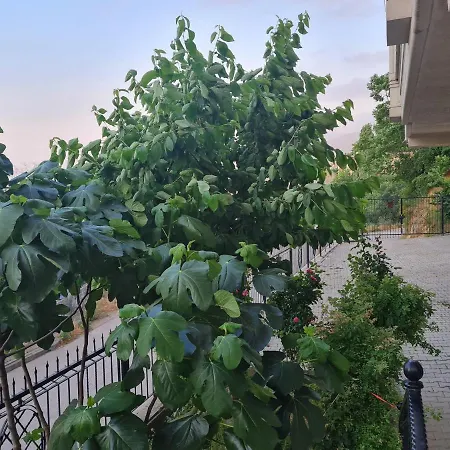 Διαμέρισμα Selvili 2